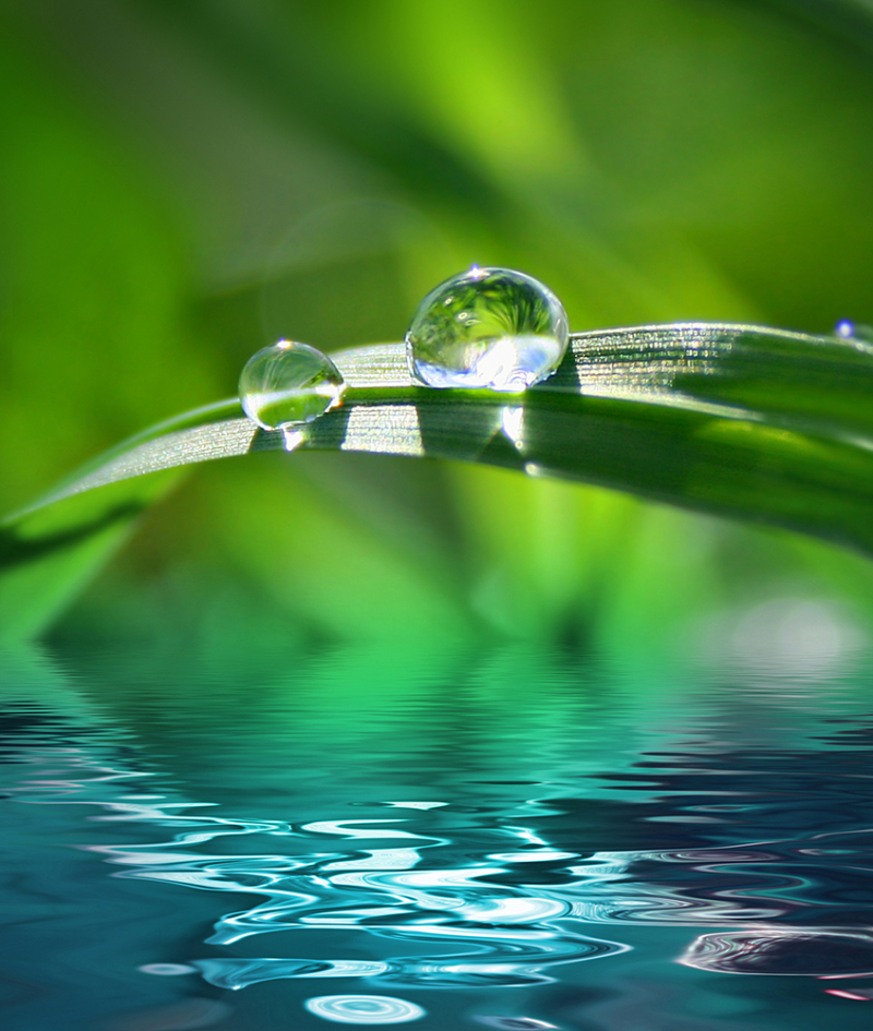 Shutterstock_10669171-800x945